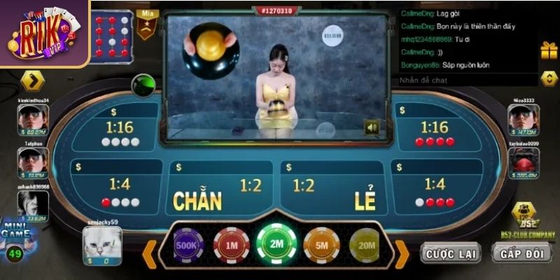 Quan sát lịch sử kết quả